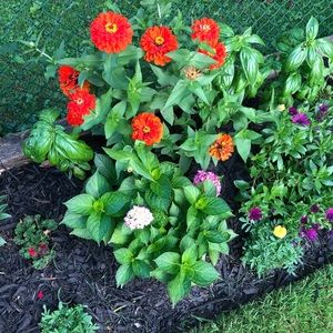 Meet your Posher, Pam